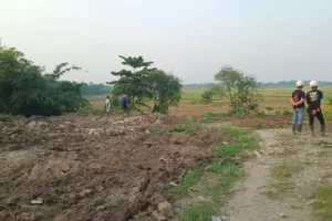 Proyek (65)